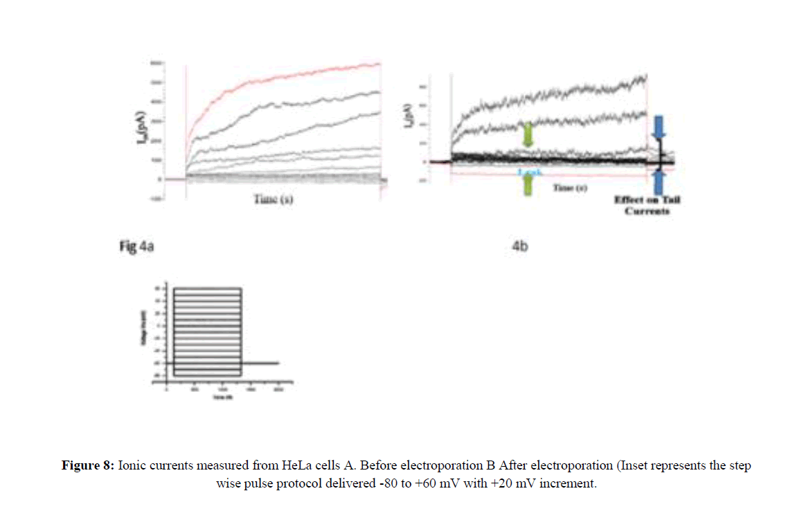 geneticsmr-Electroporation-induced-GMR-Ionic-currents