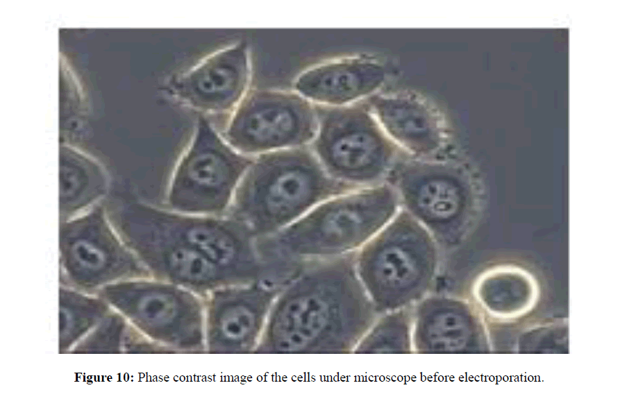 geneticsmr-Electroporation-induced-GMR-microscope