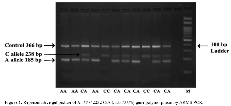 geneticsmr-Molecular-insights-Representative-gel