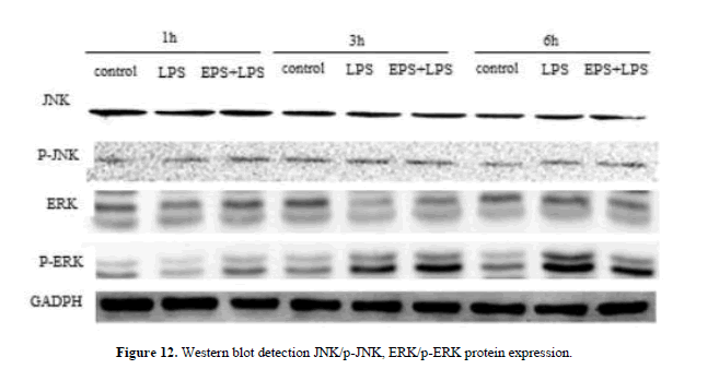 geneticsmr-The-effect-EPS-LPS-injure-detection