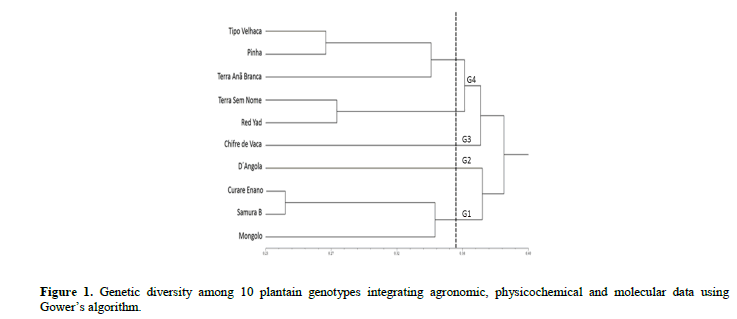 geneticsmr-agronomic-performance-plantain-genotypes-diversity