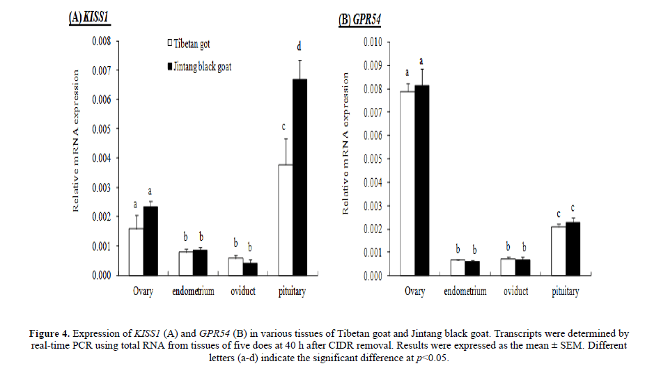 geneticsmr-comparing-KISS1-GPR54-genes-tibetan