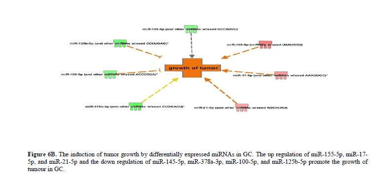 geneticsmr-decrypting-microRNA-signatures-promote