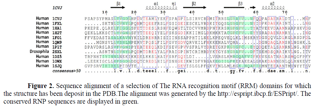 geneticsmr-long-non-coding-RNA-protein-interaction-recognition